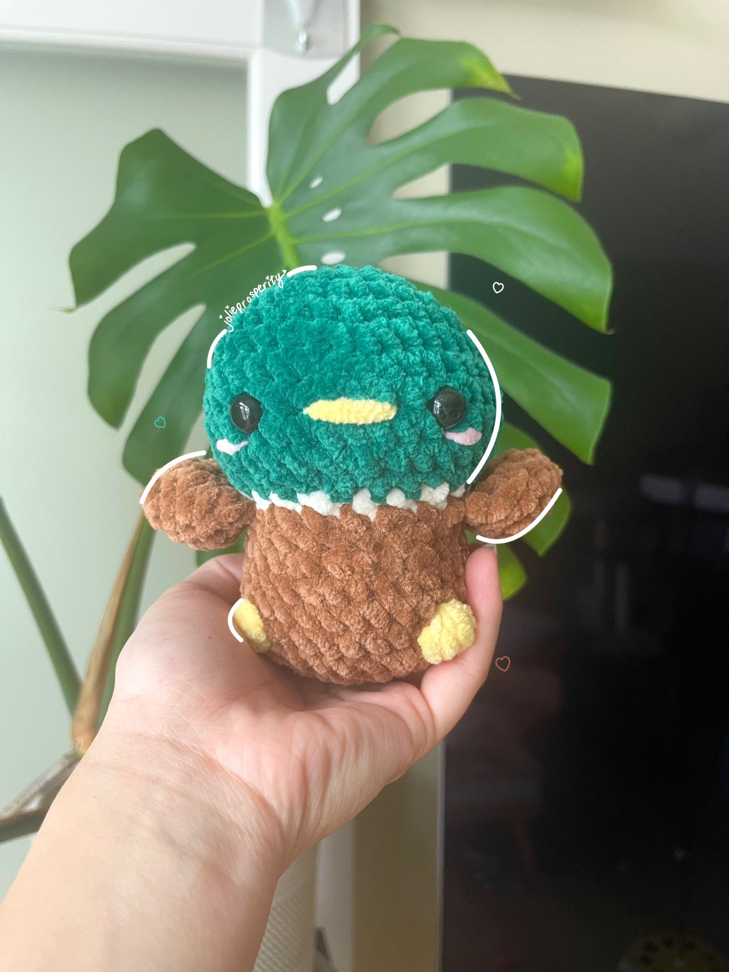 Mallard Duck with Heart Hat