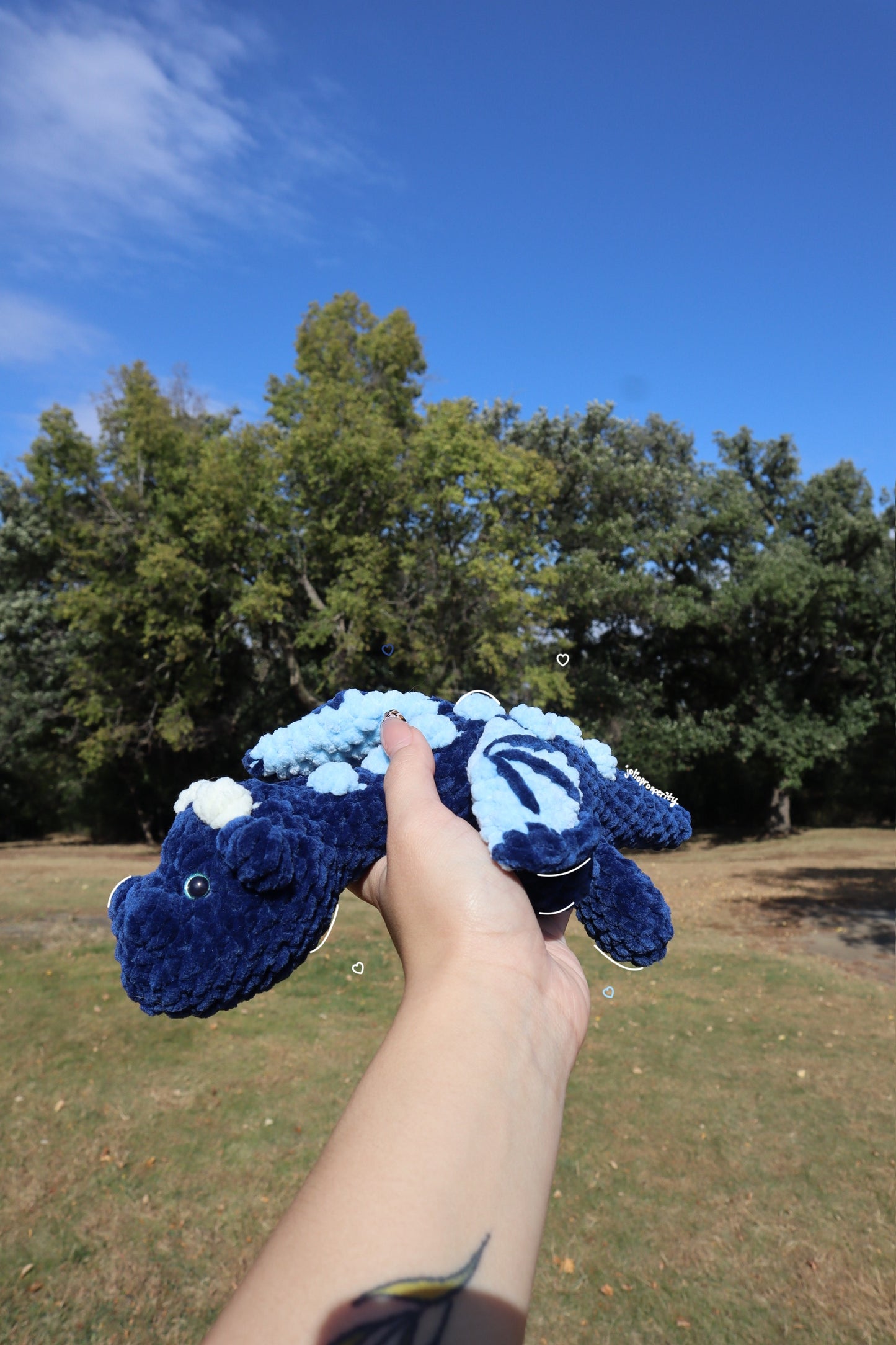 Brady the Navy Dragon