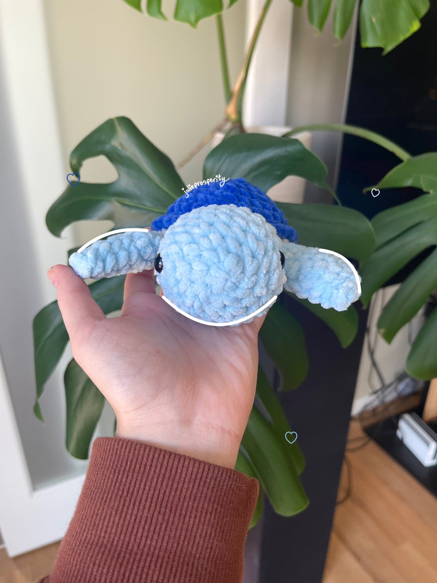 Sully the Blue Baby Turtle